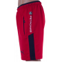 Мужские шорты RFK-M-Sport-08-"Puma"